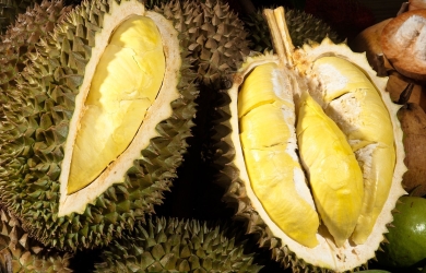 Mùi Như Nụ Hôn Kiểu Pháp Và 5 Điều Về Vua Trái Cây Sầu Riêng Ít Người Biết