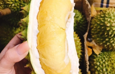 Những lợi ích không nên bỏ qua từ Sầu riêng và địa chỉ cung cấp sầu riêng chất lượng tại Tiền Giang