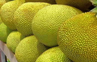 Mít Thái Thiện Tâm 3