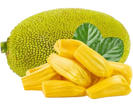 Mít Thái Thiện Tâm