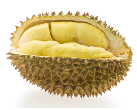 Sầu Riêng Monthong