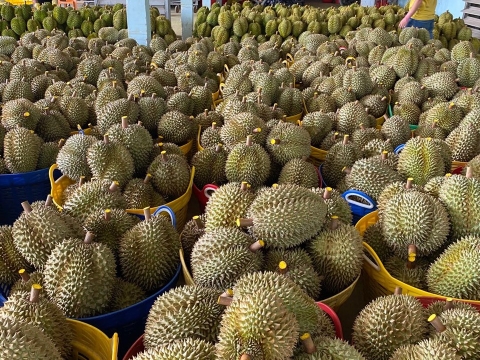 Mít Thái Thiện Tâm