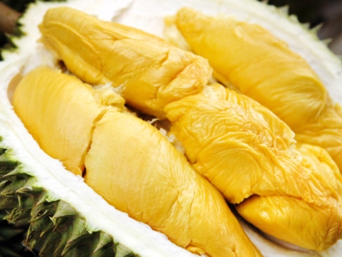 Mít Thái Thiện Tâm 3