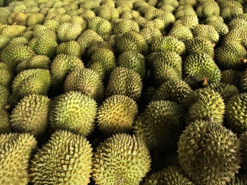 Mít Thái Thiện Tâm