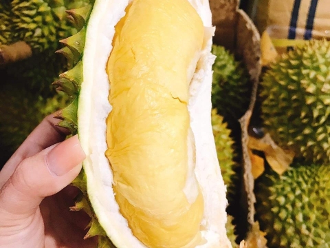 Mít Thái Thiện Tâm 3